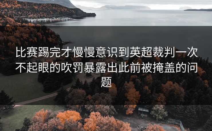 比赛踢完才慢慢意识到英超裁判一次不起眼的吹罚暴露出此前被掩盖的问题  第1张