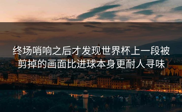 终场哨响之后才发现世界杯上一段被剪掉的画面比进球本身更耐人寻味  第1张